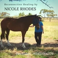 horse.jpg