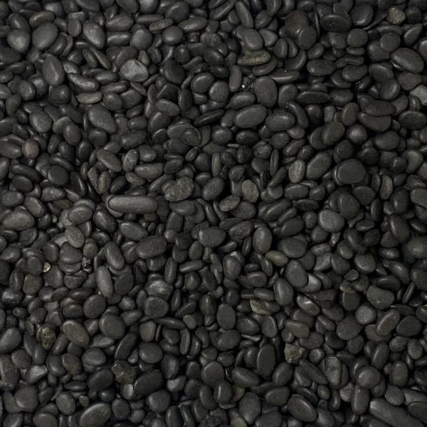 polblack05-10_2.jpg