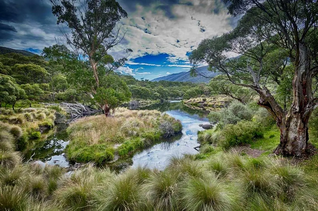 Jindabyrne Adj.jpg