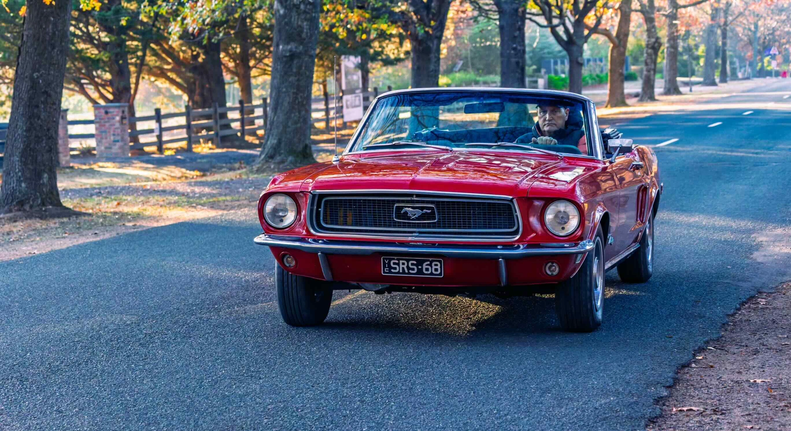 20250501-M27A5905c1.jpg copy.jpeg