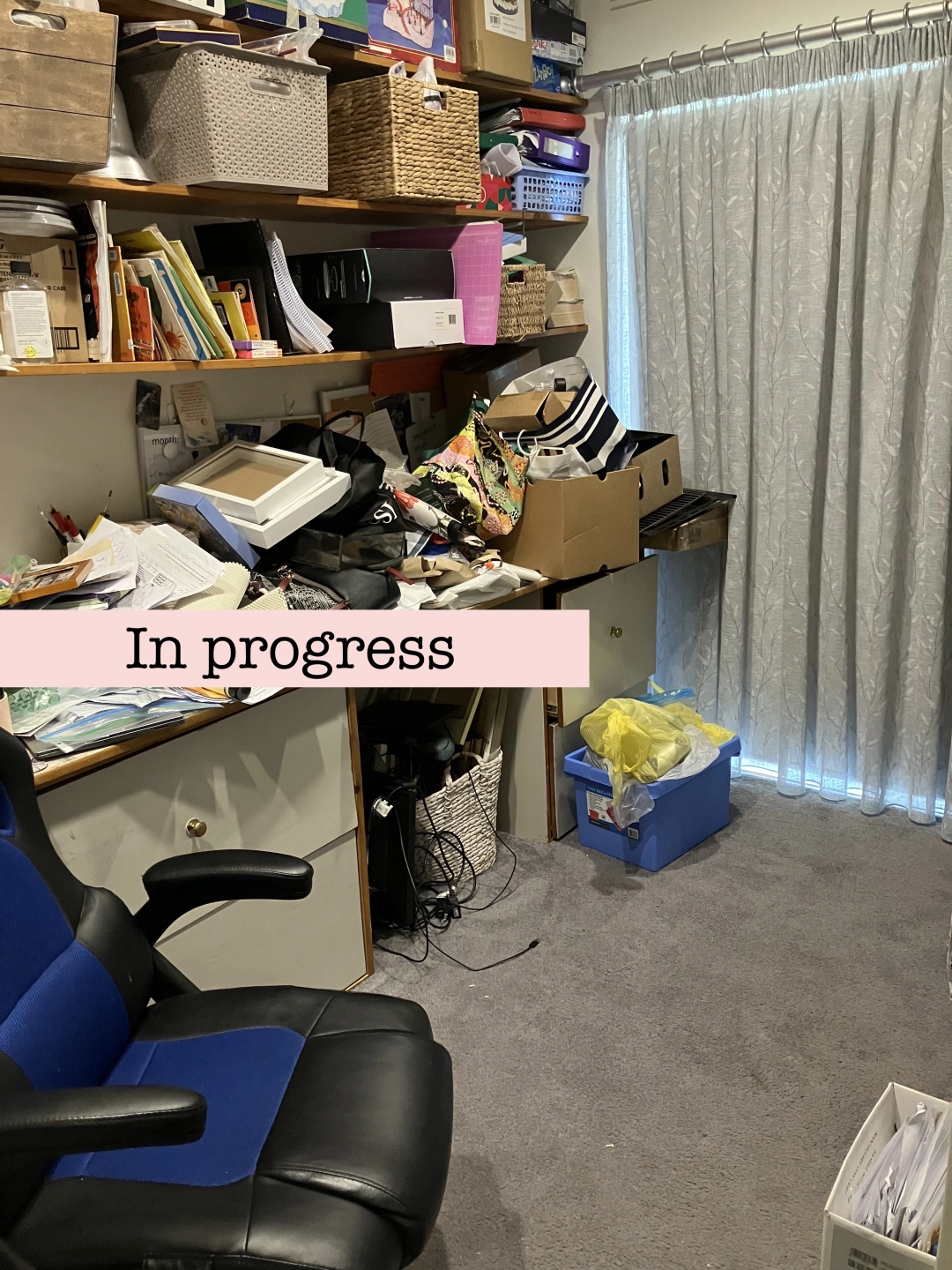 5.Study-organising-in progress.jpeg
