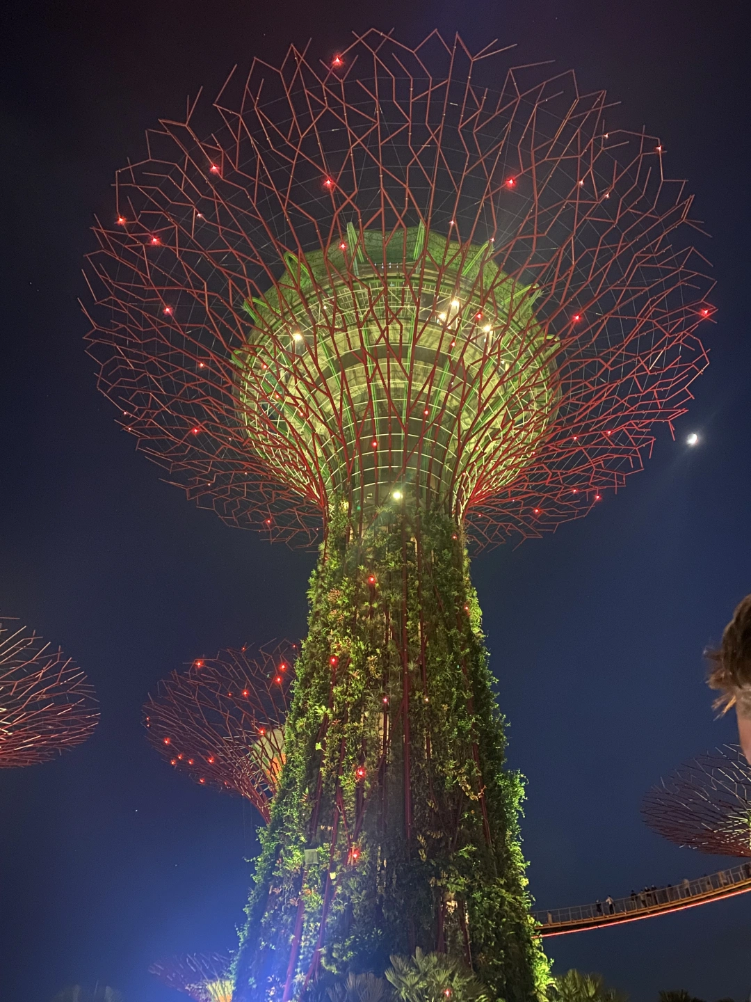 inforg singapore pic.jpeg
