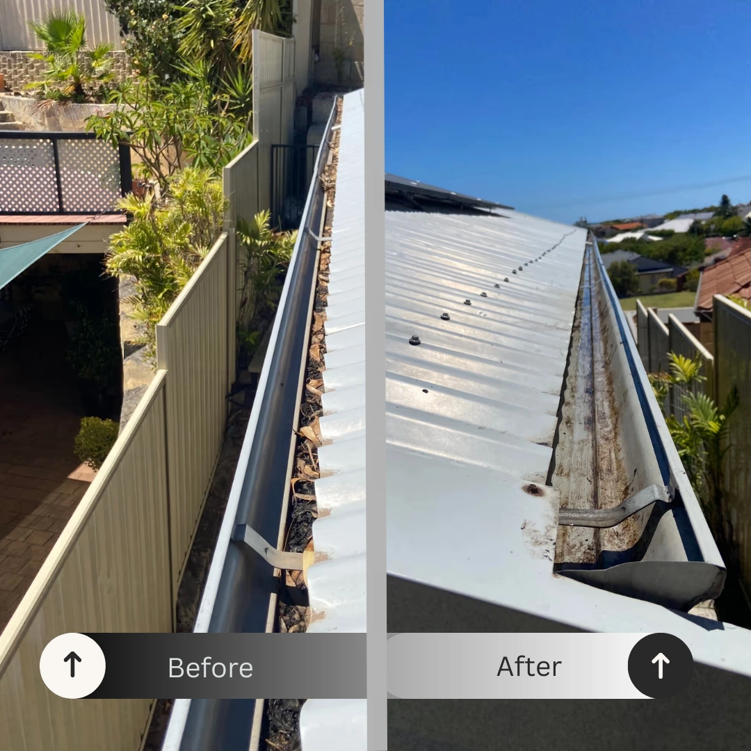 side (before : after).png