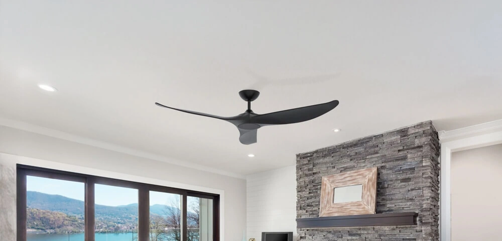 Black Ceiling fan.jpg