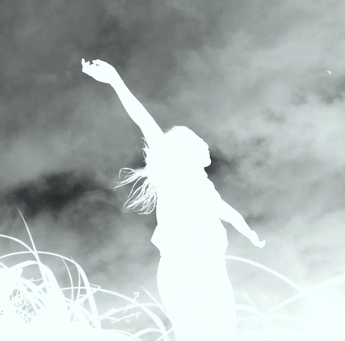 Screenshot 2026-03-05 at 4.53.32 pm.png