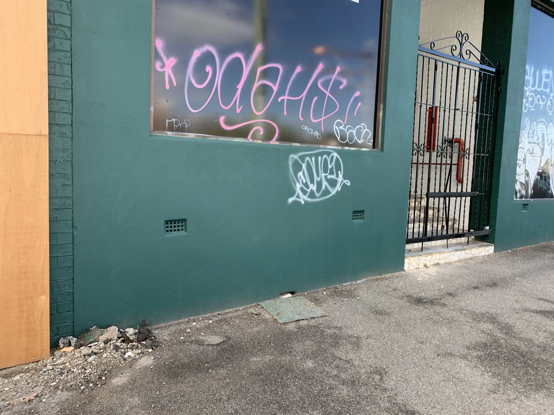 IMG_2356.jpeg