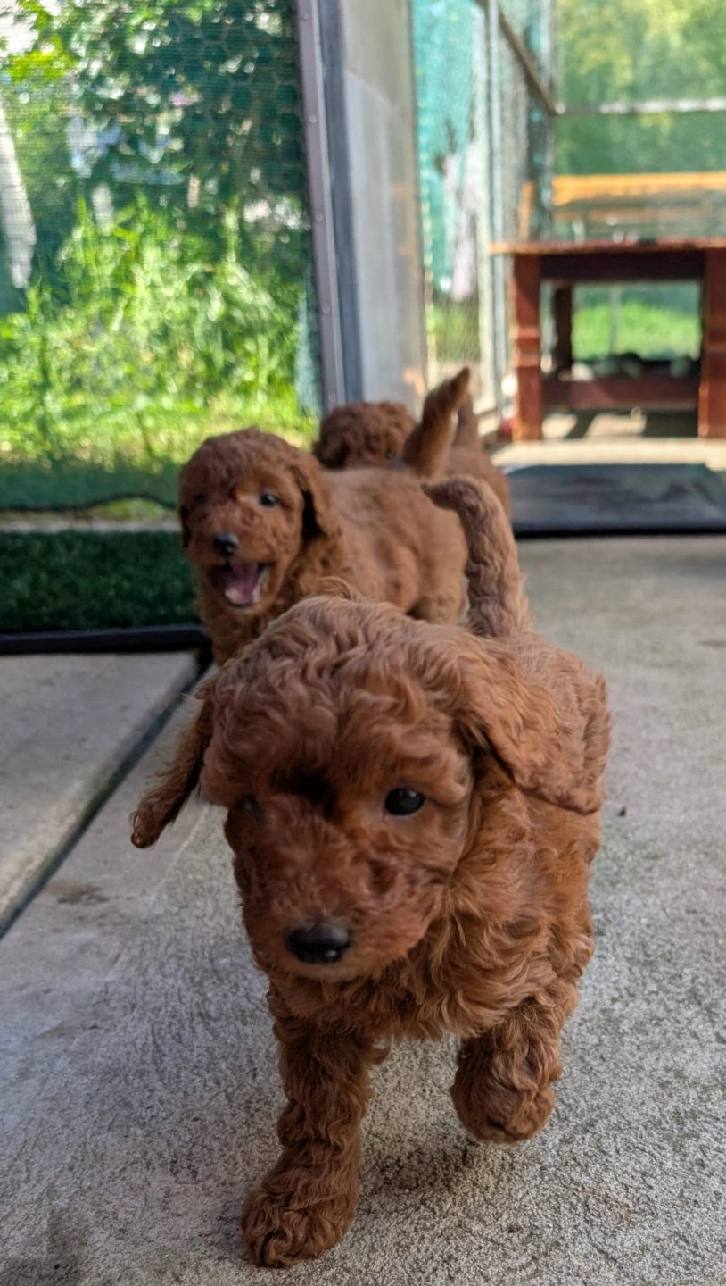 6 eeeks - 2026-03-31 at 5.09.36 PM 4.jpeg