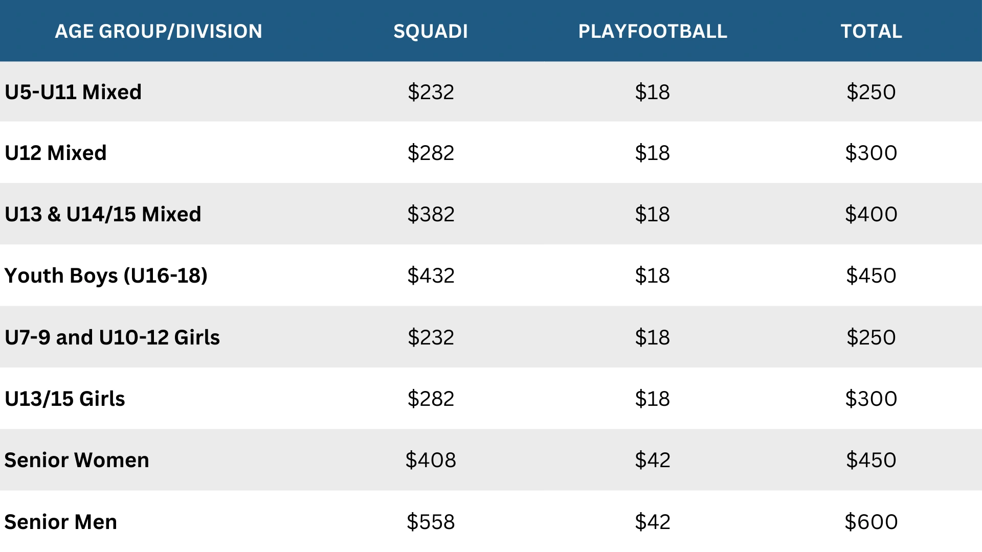 AGE GROUPDIVISION (1).png