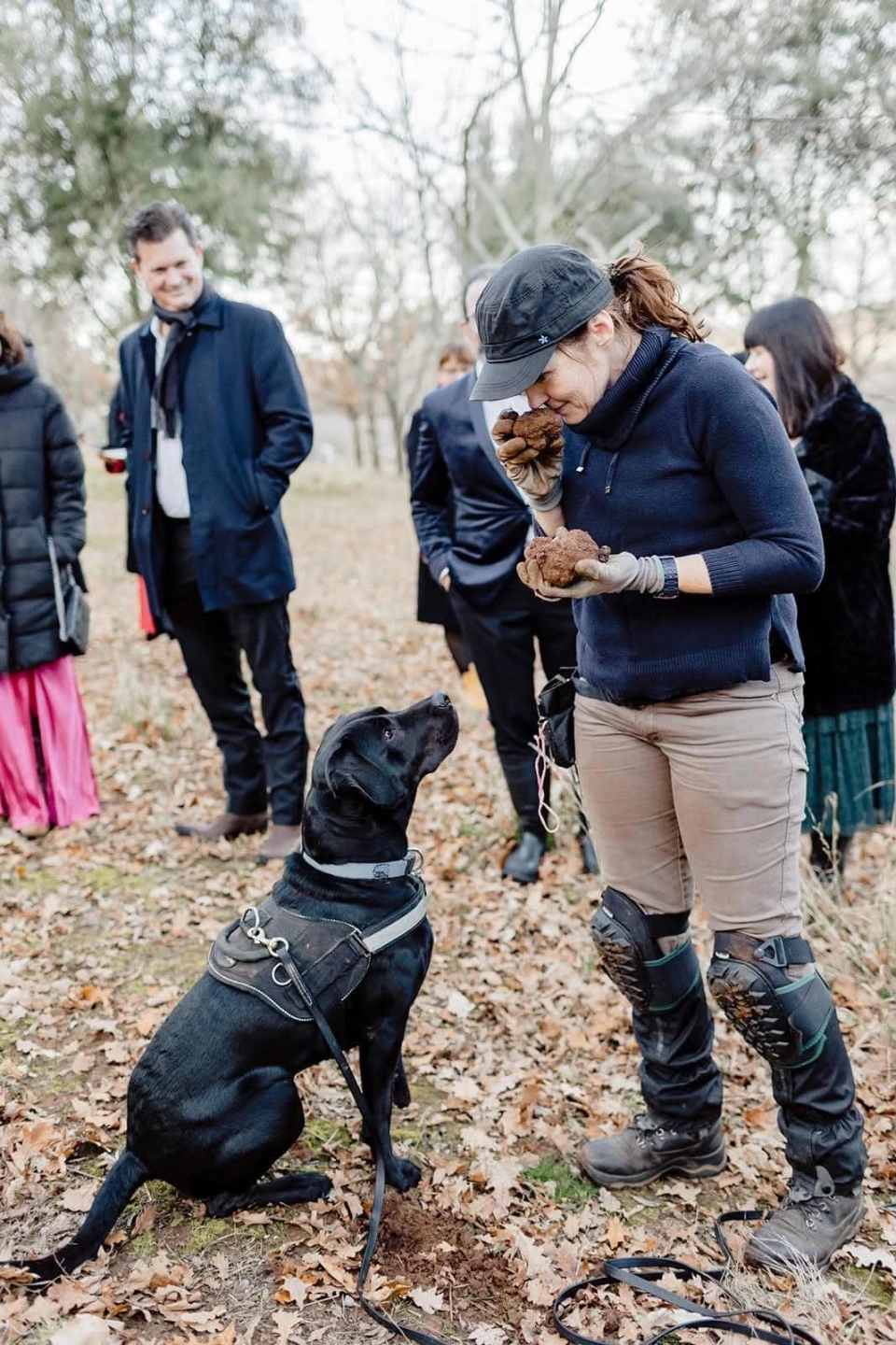 teneka truffle dogs smelling.jpg
