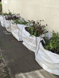 Green waste removal image.jpeg