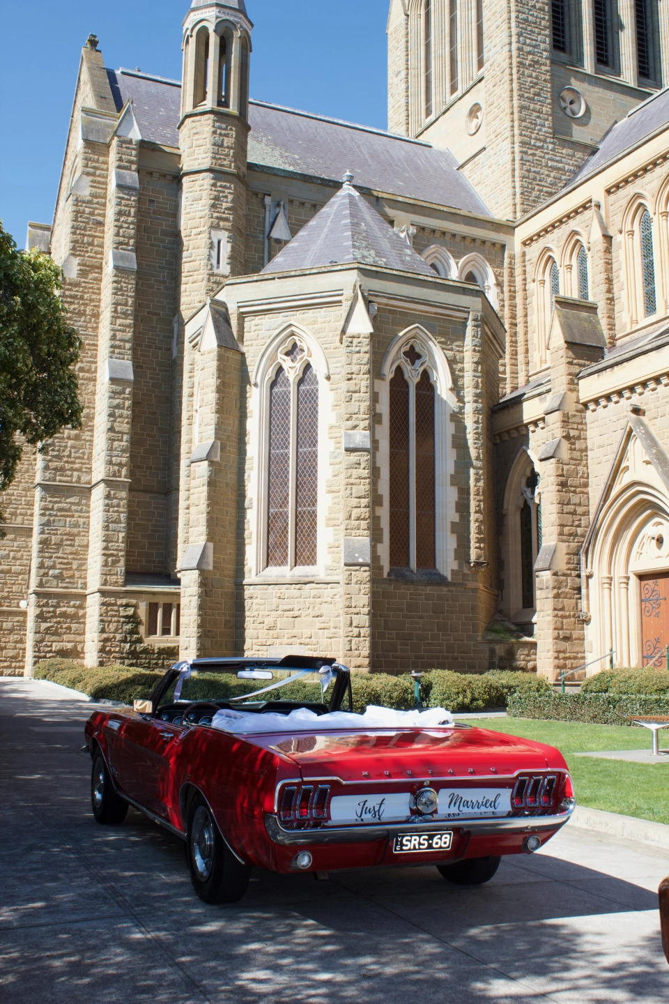 IMG_3869.jpeg