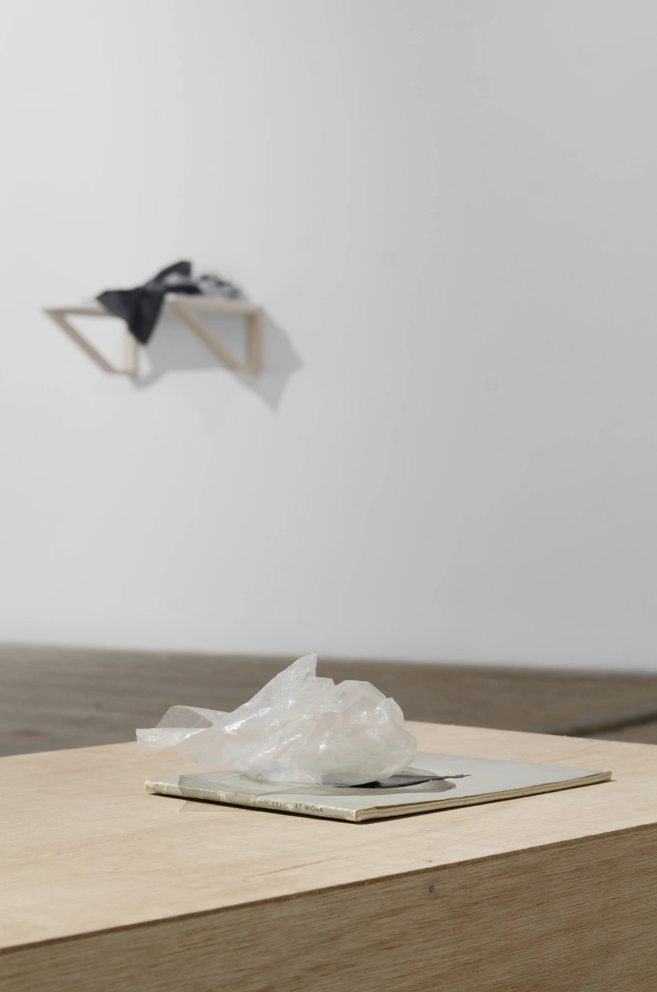 Seeing Things 03-.JPG