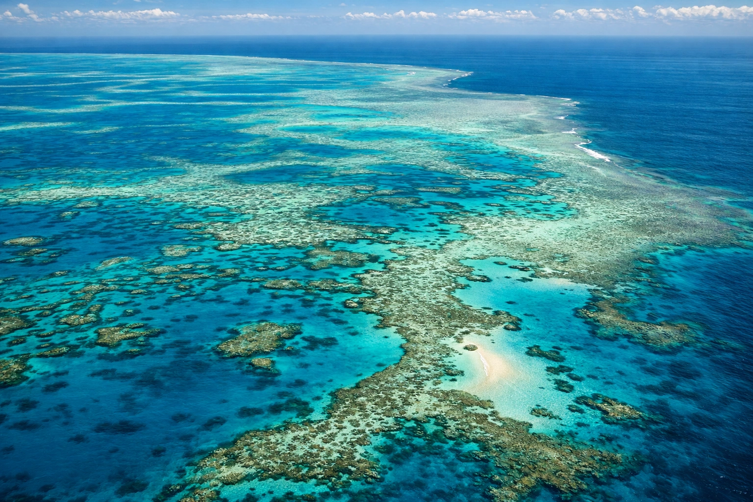 ChatGPT Image Mar 10, 2026, 05_47_02 PM.png