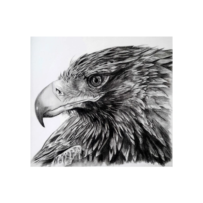 eagle sh 2 jpg.jpg