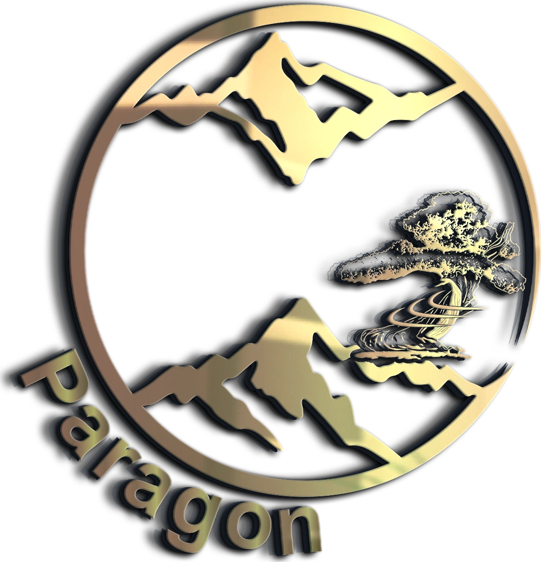 Paragon Disability Management Australia