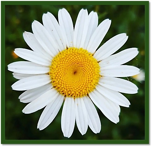 Kathryn Iles Celebrant