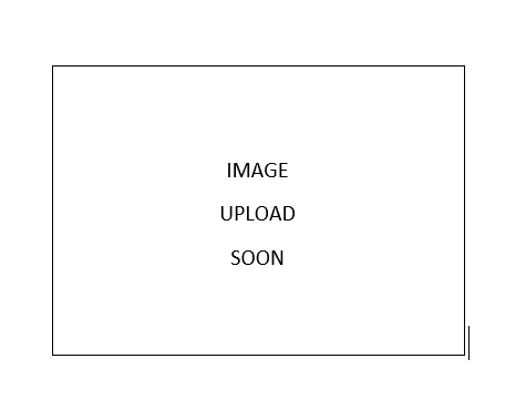 Words 5.PNG