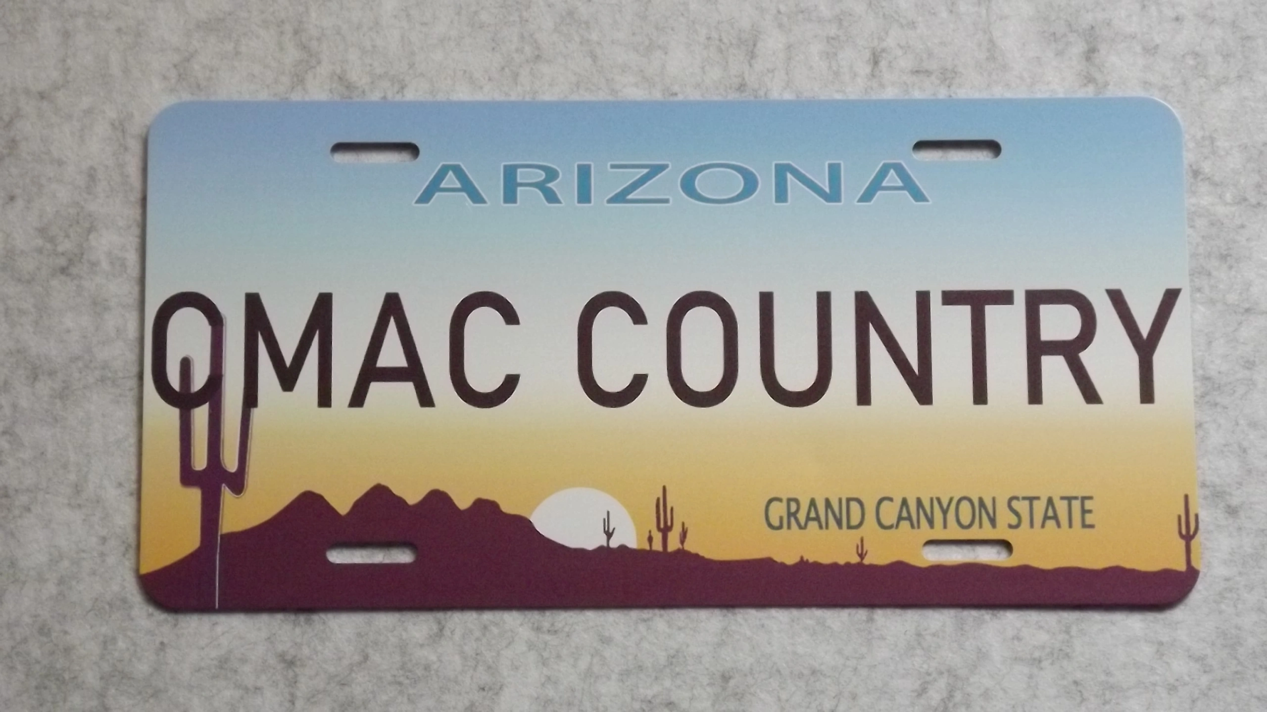 Licence Plate.JPG