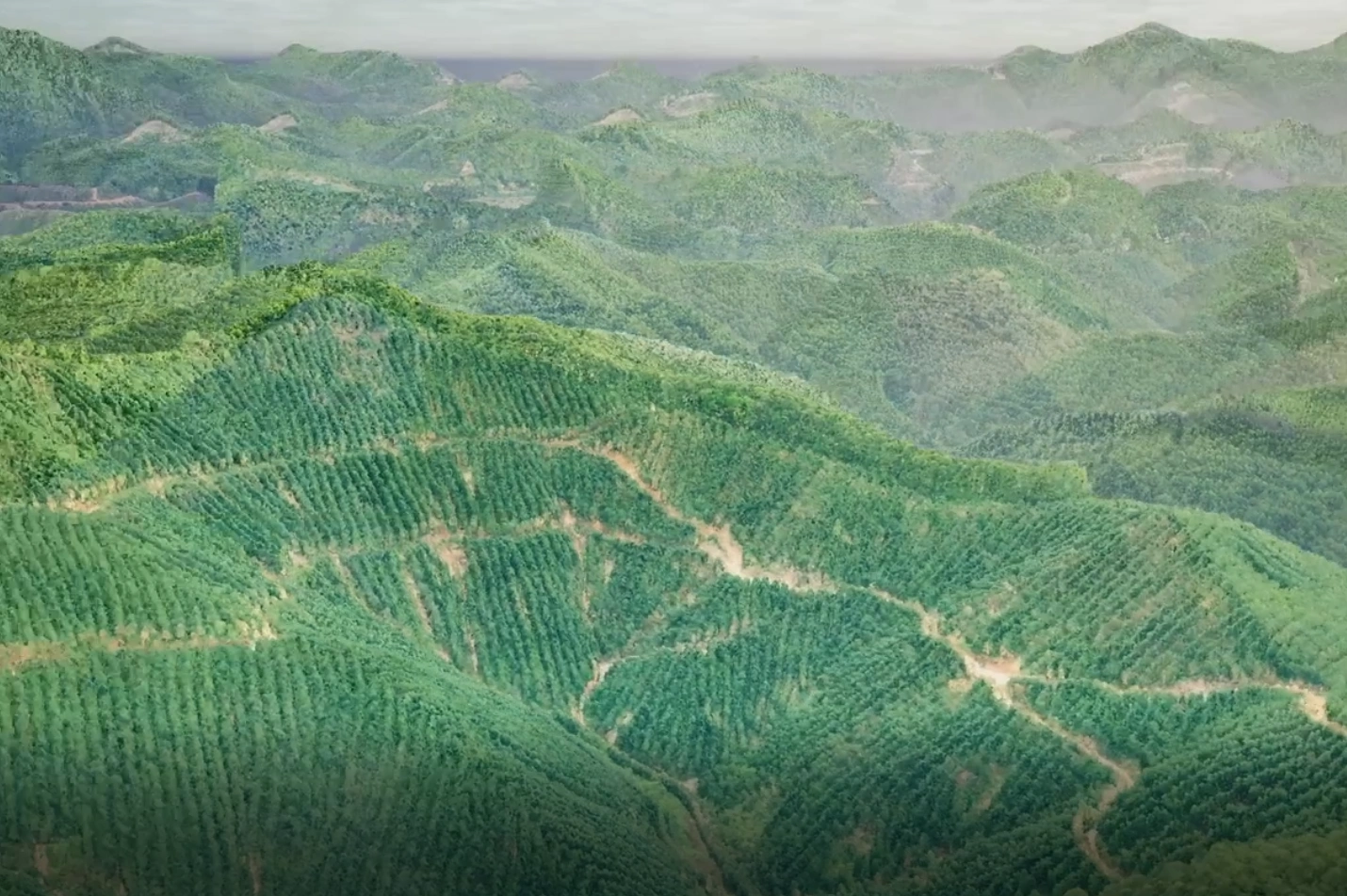 LiDAR Image.png