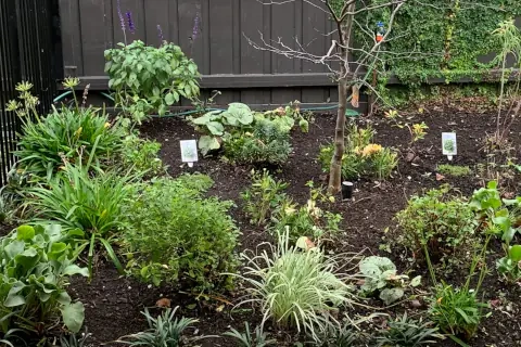 Gardening_480x320.webp