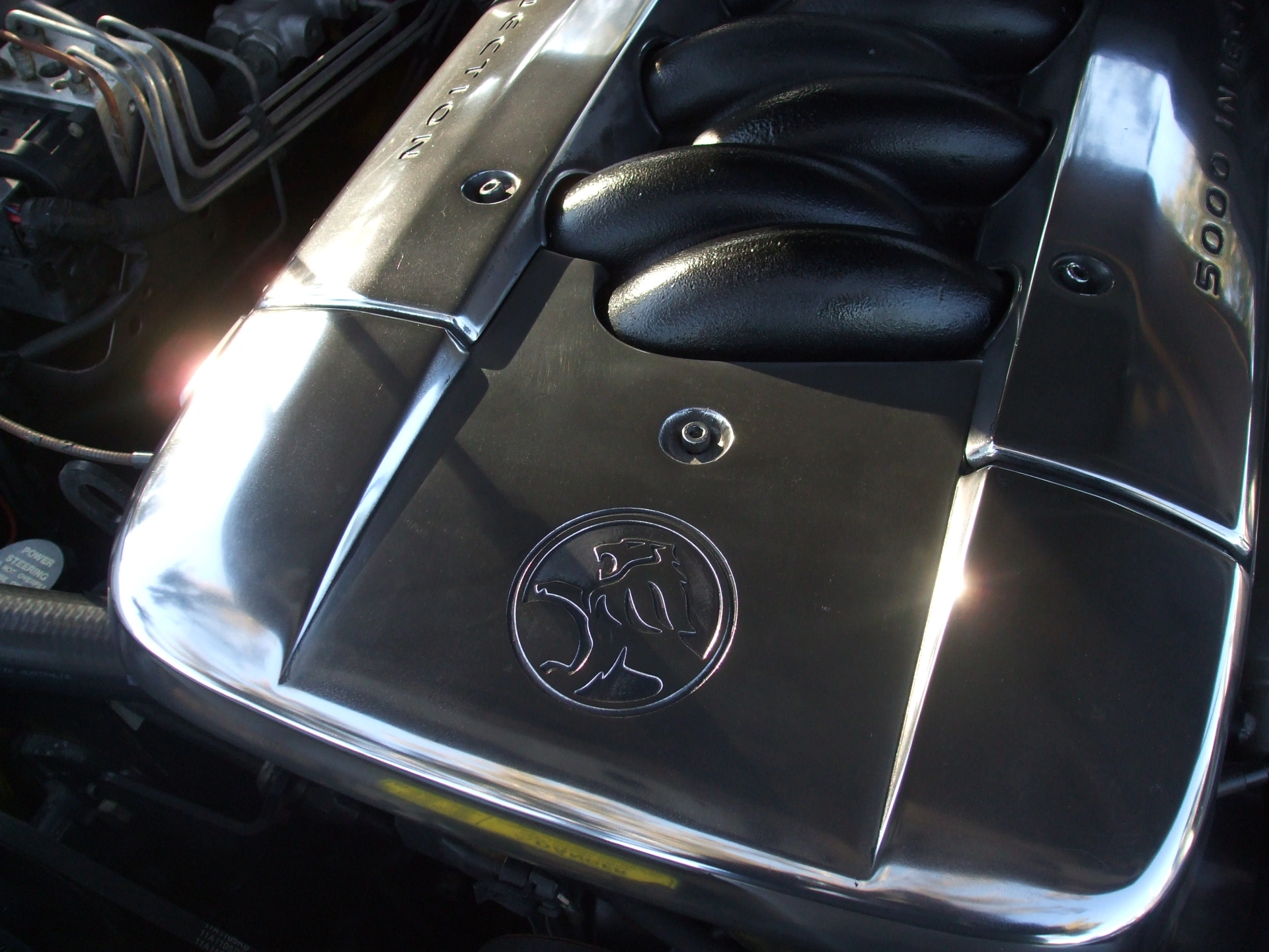 Picture 049.jpg