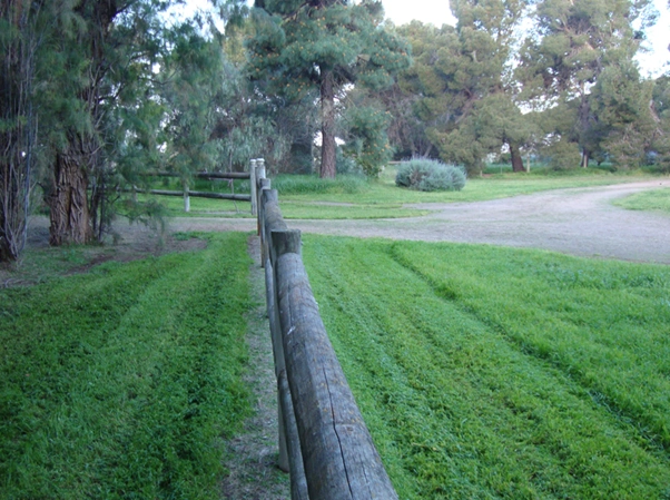 Lawns02.png