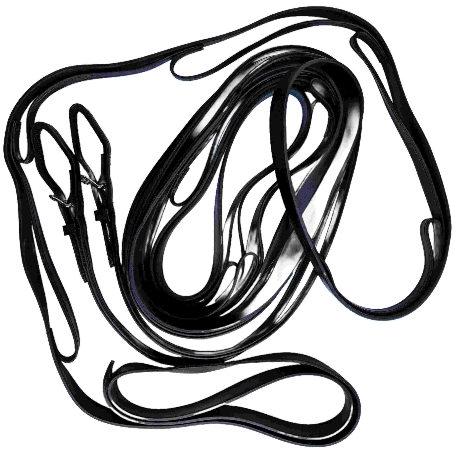 reins-1-1.jpg