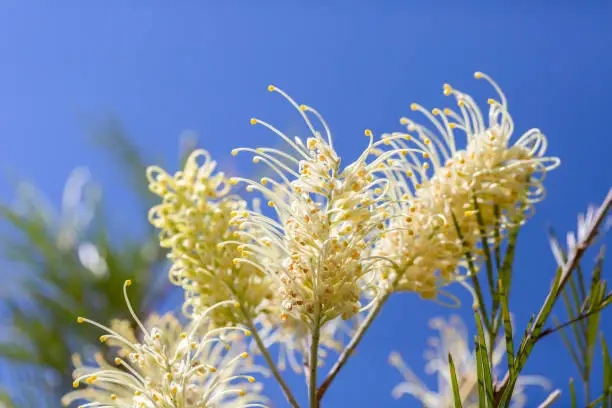 istockphoto-1355882024-612x612.webp