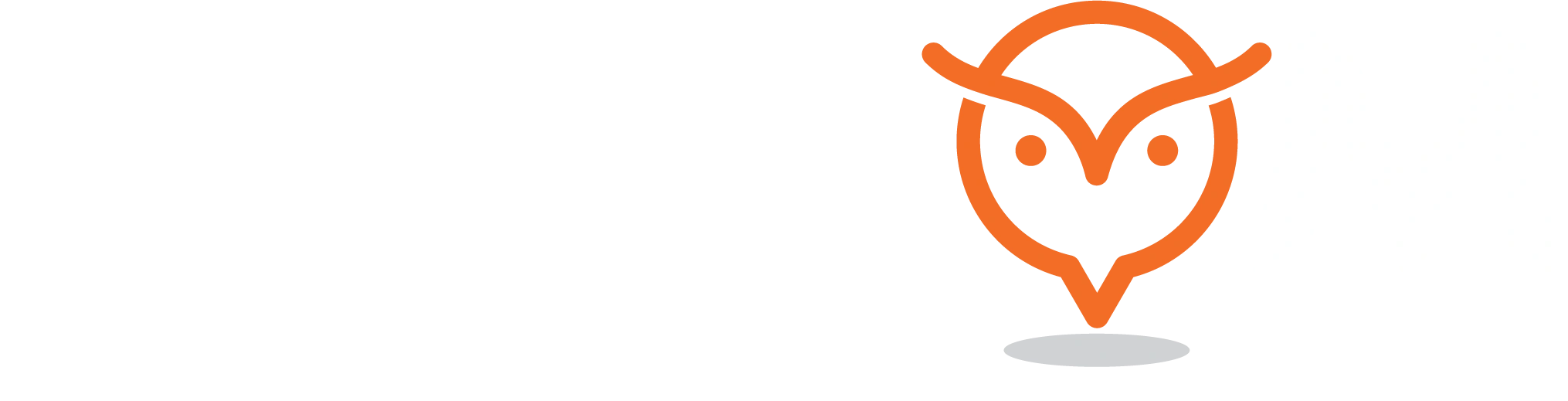 Wisdom Travel & Education