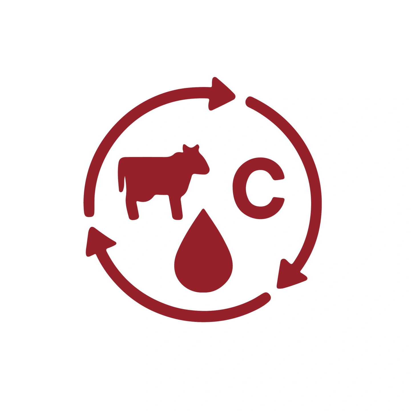Life Cycle Assessment (LCA).jpg