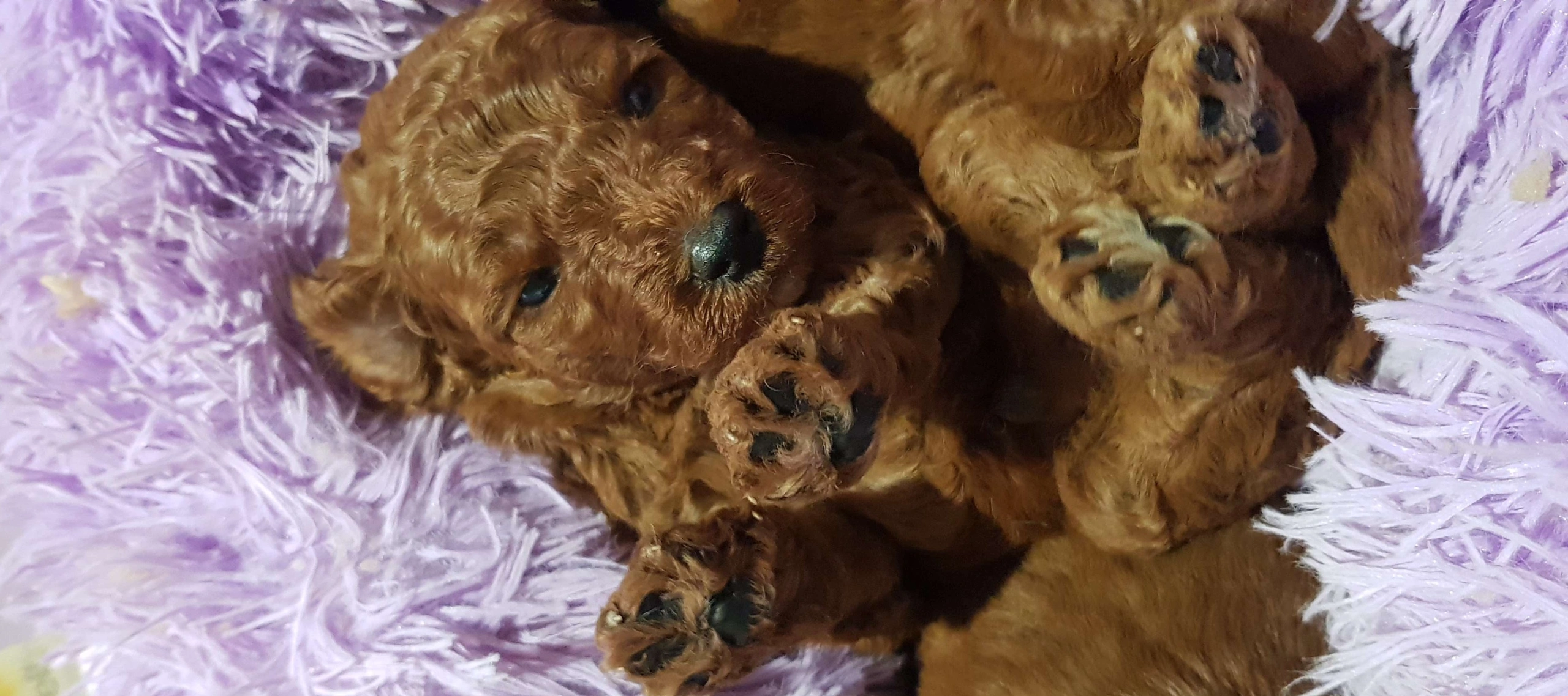 20260312_190219 3.jpg