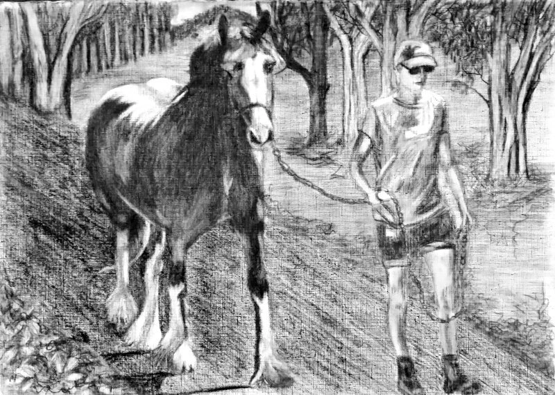 walking horse sh web.jpg