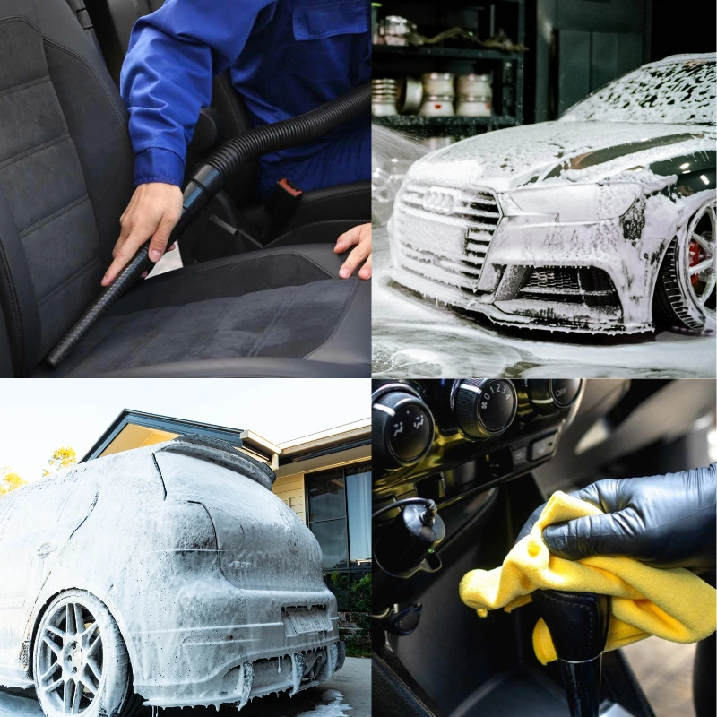 Untitled design (2).png