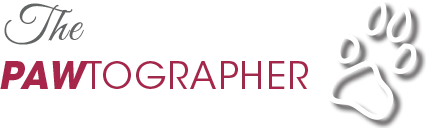 The Pawtographer