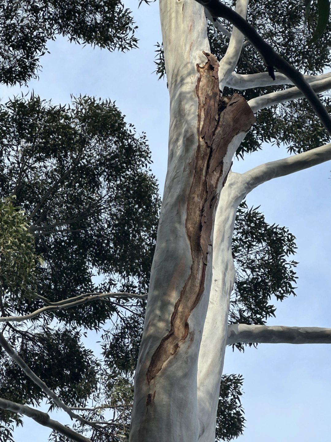 Photo 25-6-2023, 3 41 52 pm.jpg