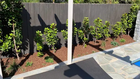 20260922-04-569x320.webp