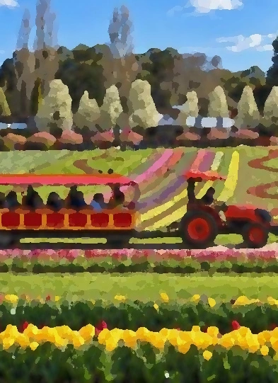 spring.jpg
