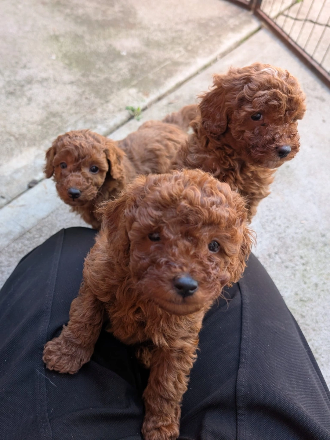 6 eeeks - 2026-03-31 at 5.09.36 PM.jpeg