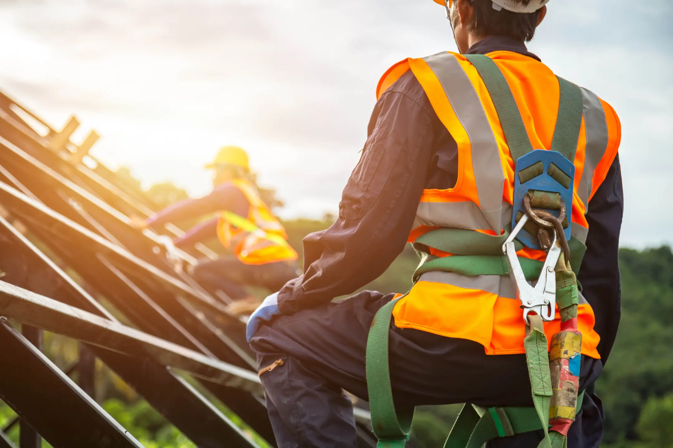 fall arrest harness.jpg