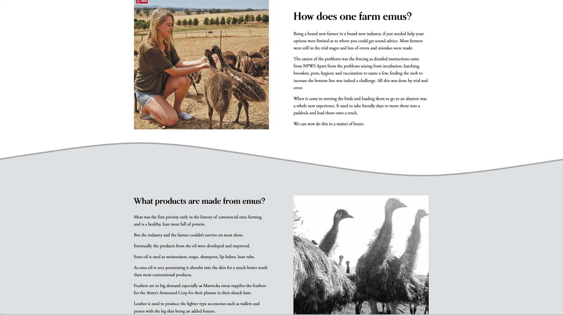 Screenshot 2025-06-06 130354.png