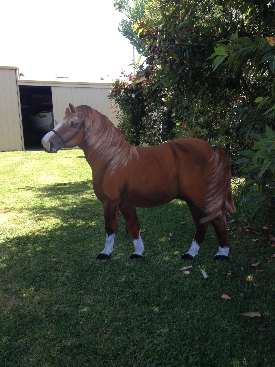 Chestnut Shetland Pony.JPG