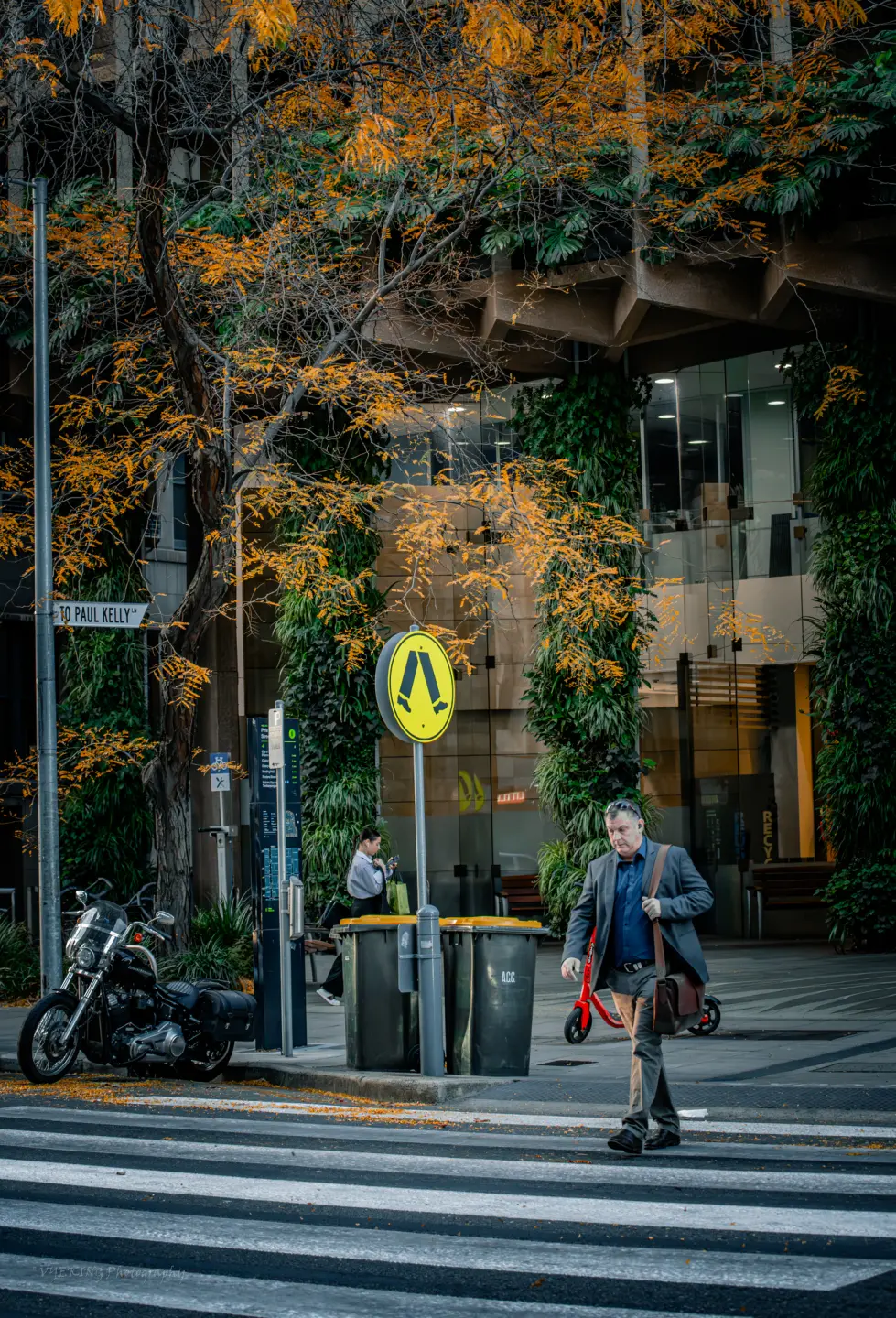 adelaide2.jpg
