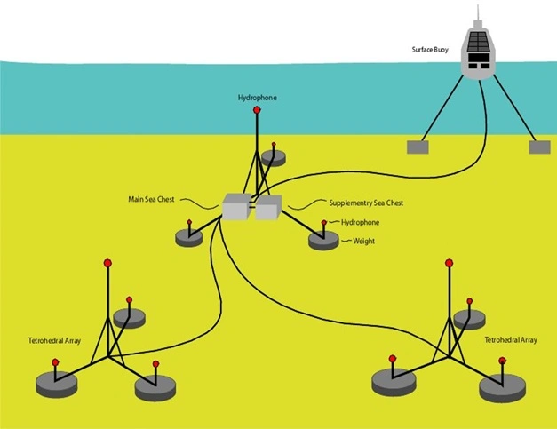 seaq floor array.jpg