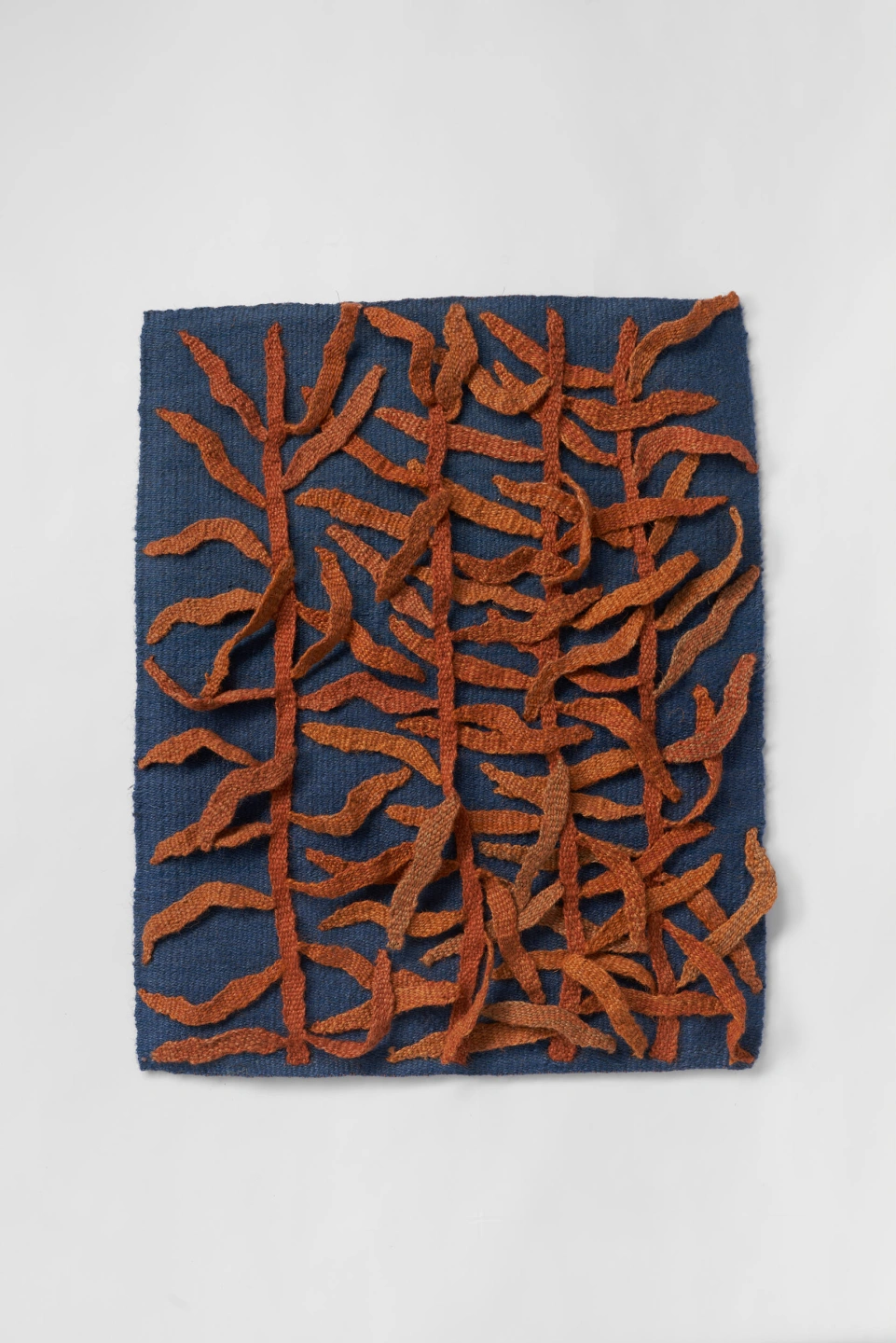 Tony Busch_Giant Kelp_2026_LoRes.jpg