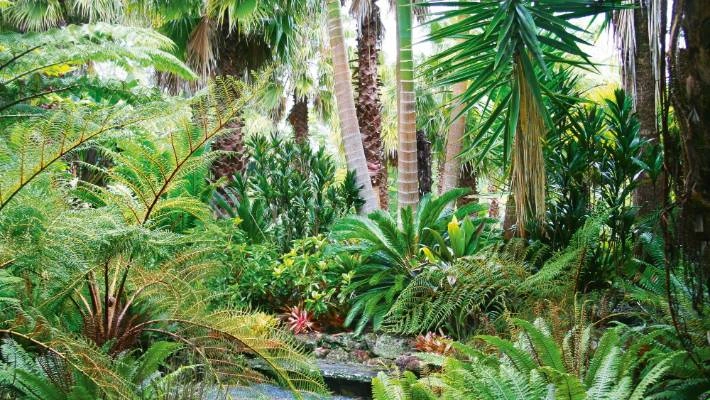 Tropical 3.jpg