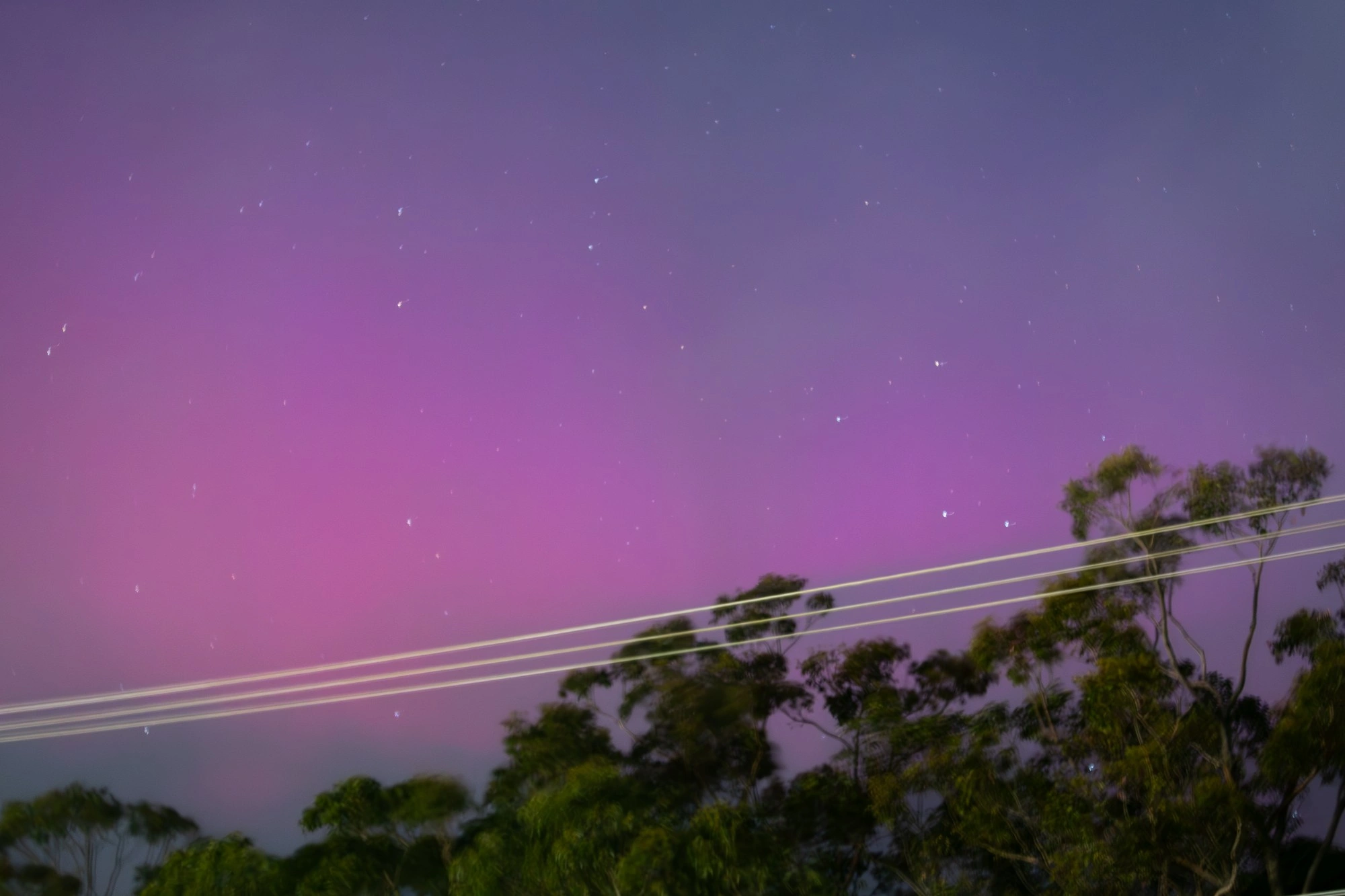 Copy of 0Y7A0549-Enhanced-NR edit3 Custom.jpg