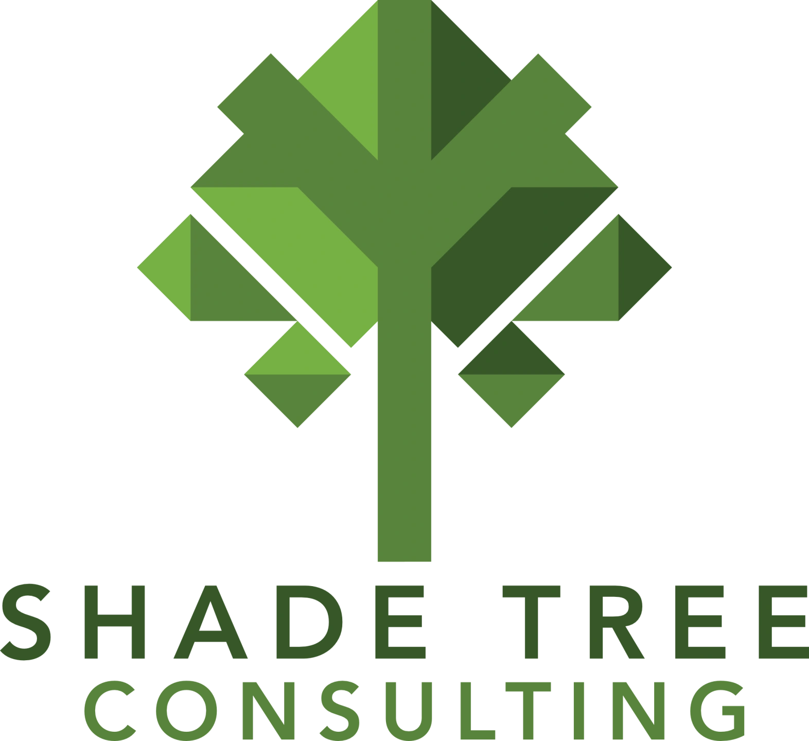 ShadeTree Consulting