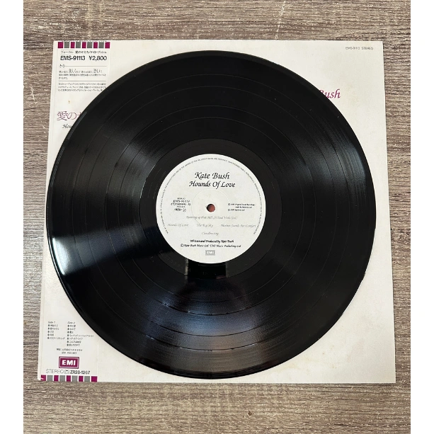 3-Kate-Bush-Hounds-of-Love-record.png