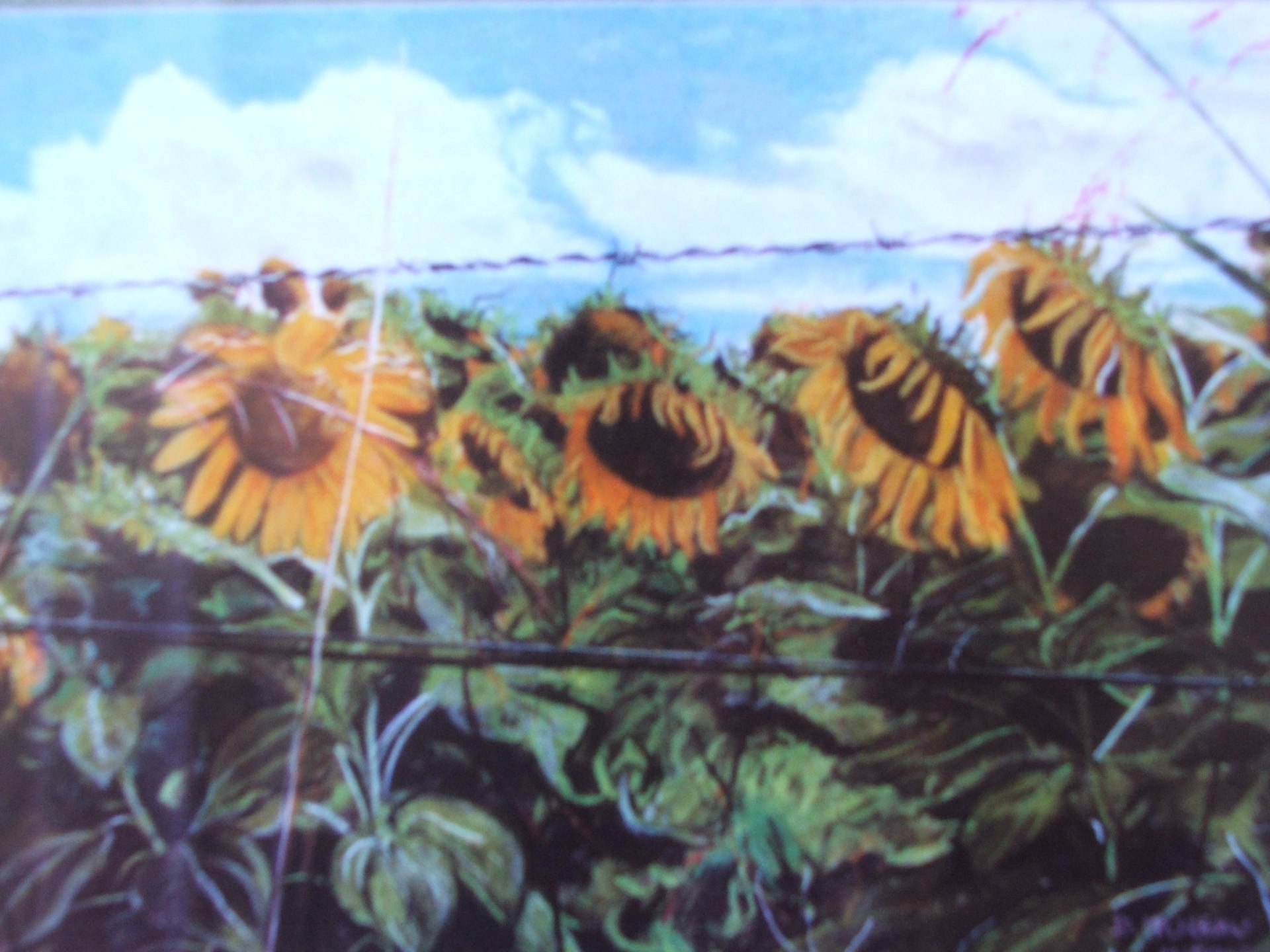 earlier work 006.jpg