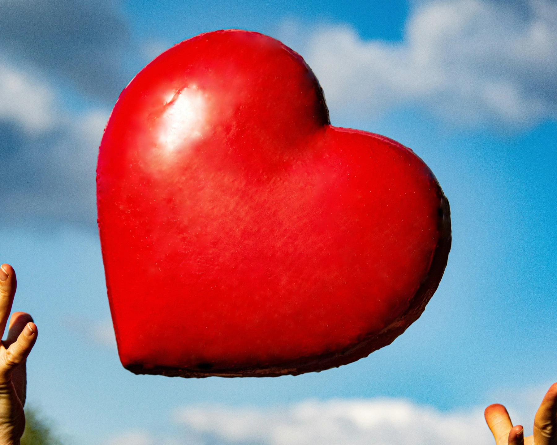 marek-studzinski-raOGPnyJH-U-unsplash heart 2.JPG